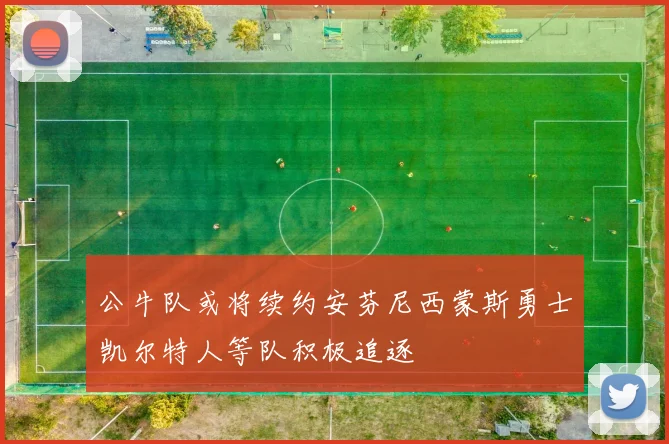 公牛队或将续约安芬尼西蒙斯勇士凯尔特人等队积极追逐