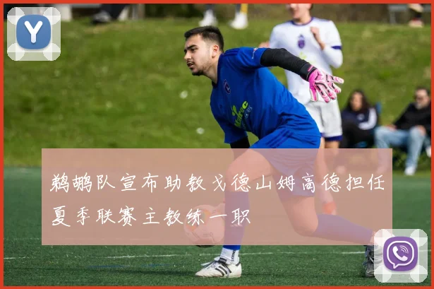 鹈鹕队宣布助教戈德山姆高德担任夏季联赛主教练一职